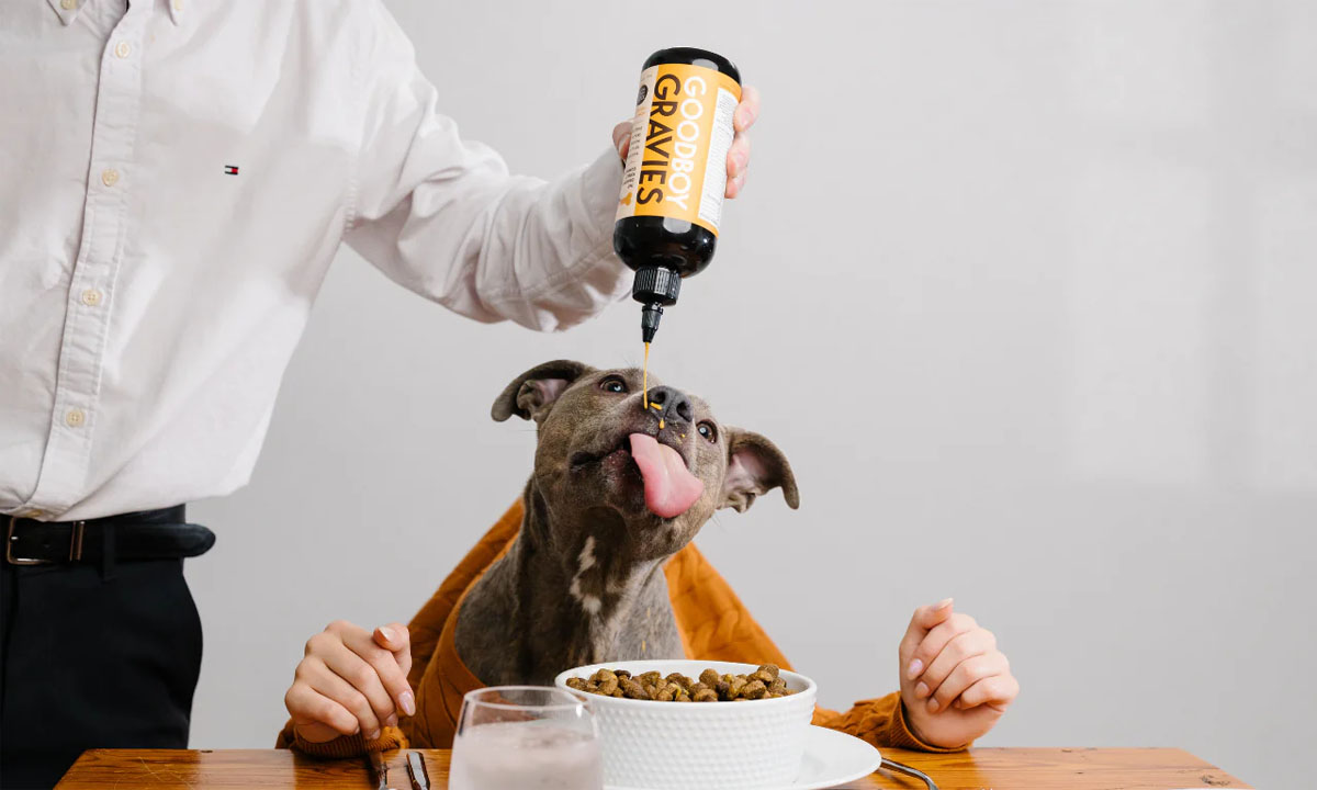 Goodboy gravies adds flavor to dog meals 00002