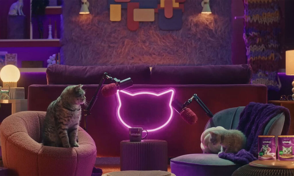 Whiskas purrcast gives kitten advice from cats 00004