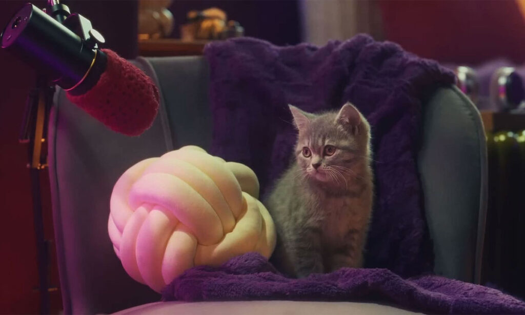 Whiskas purrcast gives kitten advice from cats 00007